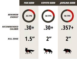 Airgun Hunting Guide Airgun Depot