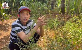 Ngày 24/5, nghệ sĩ hoài linh đã gửi đến một số cơ quan truyền thông những lời trần tình về số tiền 13 tỷ đồng mà nhiều người hảo tâm đóng góp giúp đồng bào lũ lụt miền trung mà dư luận quan tâm thời gian qua. Rtaekp0uslzem