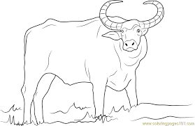 Image result for european bison coloring pages with images. Domestic Asian Water Buffalo Coloring Page For Kids Free Buffalo Printable Coloring Pages Online For Kids Coloringpages101 Com Coloring Pages For Kids