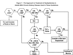 nkf kdoqi guidelines