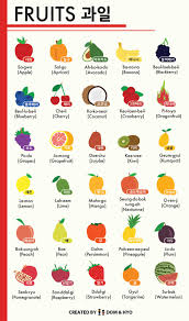 fruit names in korean infographic learn basic korean