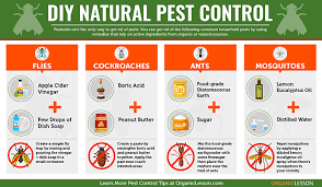 By taufiqul hasanlast update april 19, 2020april 19, 2020. Diy Pest Control Find Natural Home Remedies For Eliminating Bugs