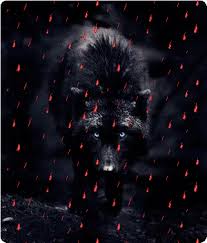 Lisa W W Anmial Welfare Environment And Wildlife Global Warming Black Wolf Wolf Animals