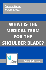 To this day, he is studied in classes all over the world and is an example to people wanting to become future generals. What Is The Medical Term For The Shoulder Blade Fun Trivia Questions Medical Terms Science Trivia