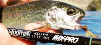 Yakima River Fishing Reports > Red's Fly Shop