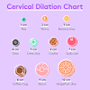 Edward bishop and has been known also under the terms pelvic or cervix score. 1