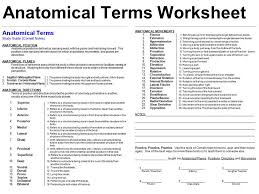 Pin By Jenniffer On Ati Teas Study Tips In 2020 Anatomy And Physiology Quiz Anatomy And Physiology Crash Course Psychology