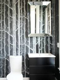 Black And White Birch Tree Wallpaper 13 Black And White Bathrooms Small Bathroom Design Home Bathroom Design