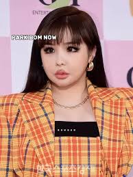 Park Bom: Journey from Debut to K-Pop Icon