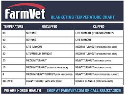 Top 5 Tips To Prepare Your Horse For The Cold Weather Equo