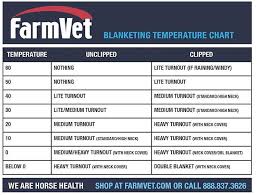 top 5 tips to prepare your horse for the cold weather equo