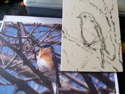 Einen Vogel Mit Pastellkreide Zeichnen Anleitung Christine Novak Cane Wie Malt Man De Zeichnen Lernen Malen Lernen Online Malkurs Mit Acryl Und Olfarbe Malenwie Malt Man De Zeichnen Lernen Malen Lernen Online Malkurs Mit Acryl Und Olfarbe Malen