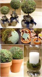 Pin On Diy Floral Topiaries Greens
