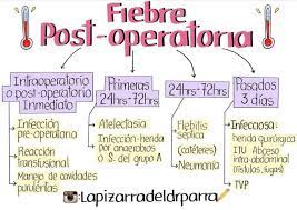 Pin En Anatomia
