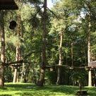 Kletterwald Am See In Schweinfurt Wald Ausflug Familienausfluge