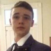 80+ "Dylan" profiles