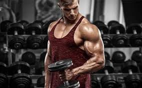 Workout Routines Database: 1000+ Free Workout Plans