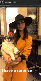 The ceremony took place in ratajkowski's city hall with some guests, family, and loved ones. Model Emily Ratajkowski Marries Sebastian Bear Mcclard In New York Hello