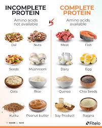 Image result for Protein