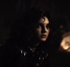 Gotham Firefly Selena