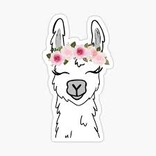 It also has the best cute cat music video ever: Llama Gifts Merchandise Redbubble