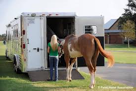 Maybe you would like to learn more about one of these? What S Behind That Tough To Load Horse And How To Remedy The Situation