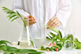 In vitro plant cell culture. The Effect Of Natural Organic Extracts On The In Vitro Growth Of Plants Plant Cell Technology Your Partner In Plant Tissue Culture