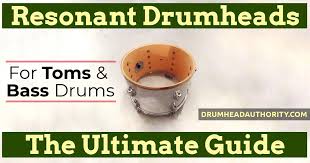 resonant tom bass drumheads the ultimate guide drumhead