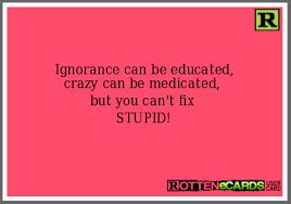 Nothing in all the world is more dangerous than sincere ignorance and conscientious stupidity. Ignorance Can Be Educated Crazy Can Be Medicated But You Can T Fix Stupid Today Quotes Inspiration Sarcastic Quotes Cool Words