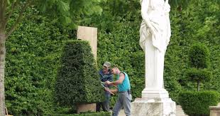 Die Eibe Ein Besonderer Nadelbaum Eibe Heckenpflanzen Baum