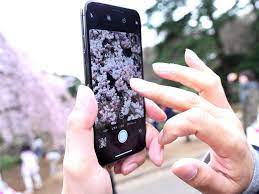 花見の季節にスマホでキレイに桜を撮る！ プロの写真家が使う5つのテクとは？｜KDDI トビラ