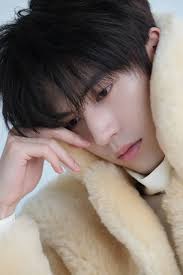 2)Oldest tree at downtown Z.C. #StarsEverywhere #morefollowers  #higthligtheveryone