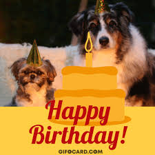 The unconditional love you give is the best feeling in the world. Happy Birthday Dog Gif Free Download Tap To Send Ecard
