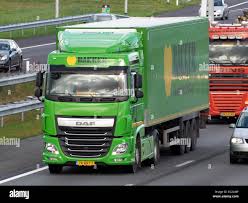 Image result for Green 1999 DAF