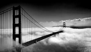 We did not find results for: Golden Gate Bridge In 2021 Black And White Photo Wall Black And White Picture Wall Black And White Aesthetic