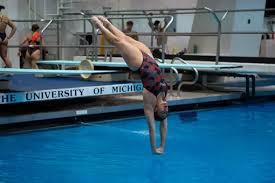 Wrestling Competes at Virginia Duals