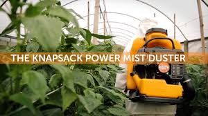 Setelah hilangnya bulu babi, rumput laut mulai tumbuh. Knapsack Power Mist Duster English Youtube