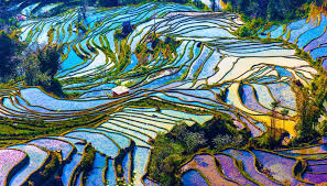 Image result for arte impressionista
