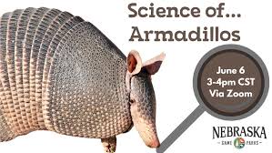 The American Natural History : A Foundation Of Useful Knowledge Of The  Higher Animals Of North America . Natural History. The Armadillos 157 Of  Bony Rings. When Attacked By A Savage