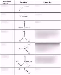 Functional Groups Diagram Quizlet