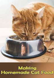 Making Homemade Cat Food Recipes Benefits And More Kedi