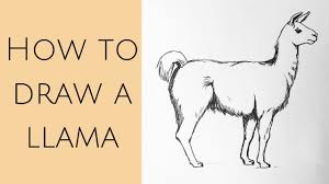 This is a complete step by step lesson on how to draw a camel in 8 steps. How To Draw A Camel Easy Step By Step Youtube