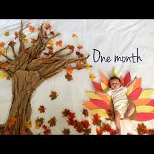 Touch device users can explore by touch or with swipe gestures. Sassandceciledotcom Thanksgiving Baby Pictures Monthly Baby Pictures Thanksgiving Baby