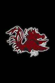 Pin On South Carolina Gamecocks