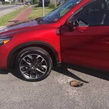 Can someone recommend an affordable car rental agency in portland? Portland Detailing Auto Detailing 275 Presumpscot St Portland Me Phone Number