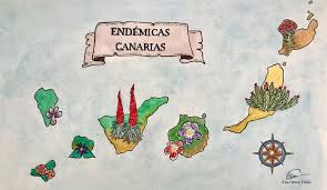 Image result for Cenchrus geniculatus