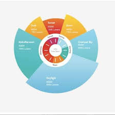 lighting and circadian rhythm affect health and productivity