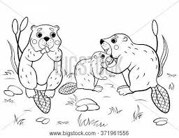 Check out all of our free animal coloring pages at allkidsnetwork.com. Cute Cartoon Beaver Vector Photo Free Trial Bigstock