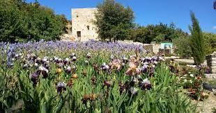 Officially granted cru status in 2005, the aoc produces. Chapelle Saint Hilaire Beaumes De Venise Kulturerbe Provence Tourismus