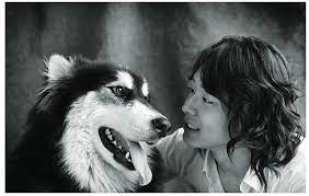 K Pop Idols And Their Pets Seoulbeats